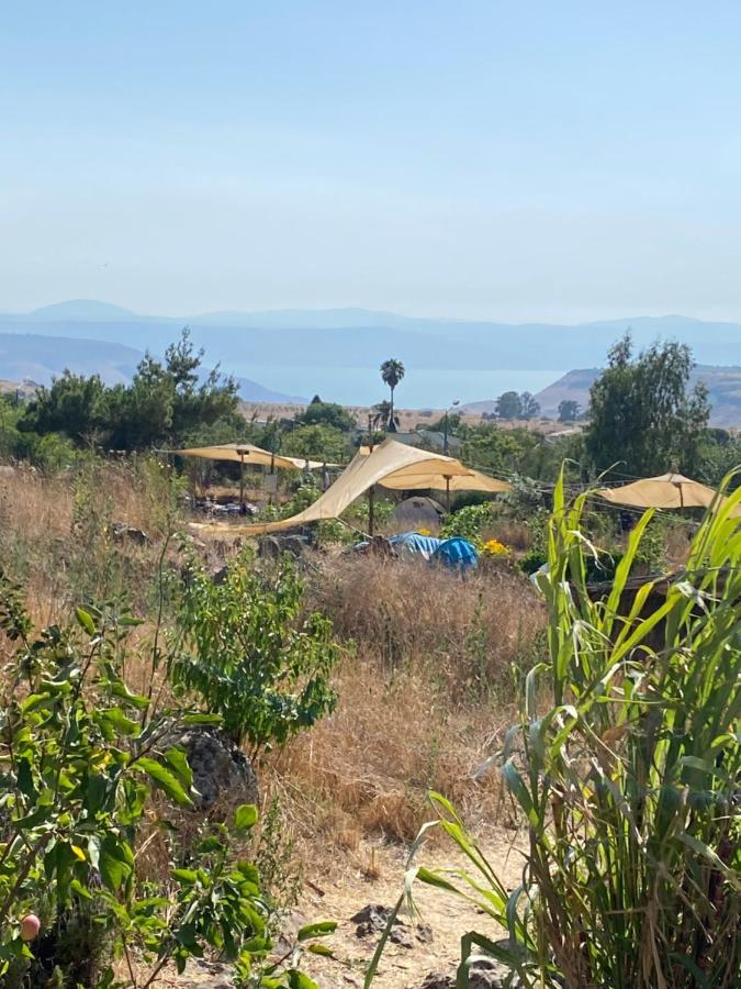 Suite Truck- Natura Eco Farm Εξωτερικό φωτογραφία